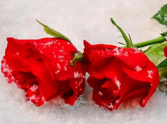 睡床一定要男左女右睡吗,初次同居一定要知道的事