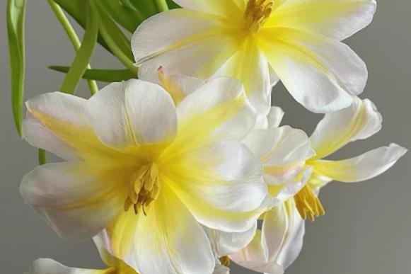 老男人开始走心的表现,70岁老男人还有真爱么