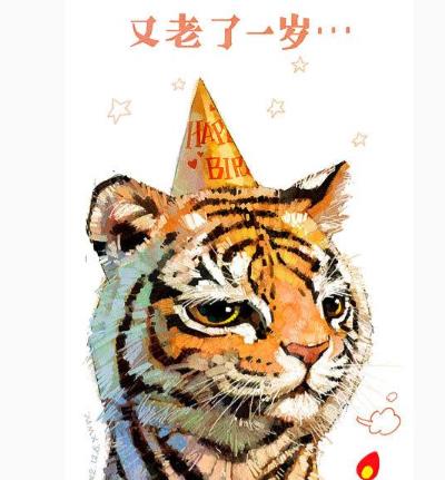 老一岁的图片大全,又老了一岁表情图
