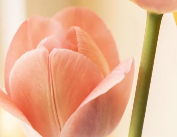 下巴看晚年,晚年最好命的四种人