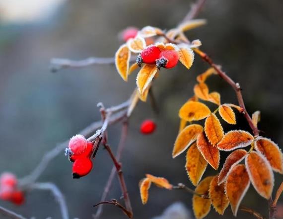 80岁的女人对异性动心吗,80岁女人还渴望爱情吗