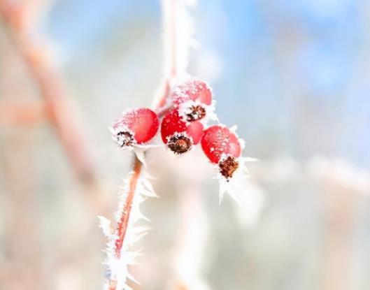 80岁的女人对异性动心吗,80岁女人还渴望爱情吗