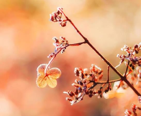 80岁的女人对异性动心吗,80岁女人还渴望爱情吗