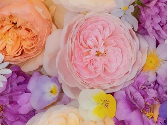 中年女人想你的表现,中年女人最招架不住的情话