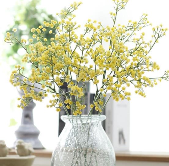 母子相处应该避开的雷区,儿大避母母子相处避开这些雷区