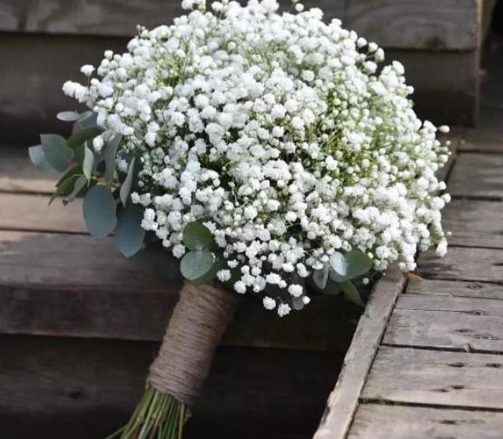 母子相处应该避开的雷区,儿大避母母子相处避开这些雷区