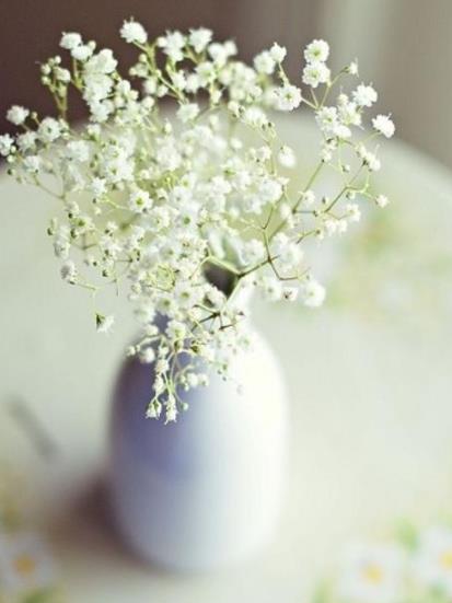 母子相处应该避开的雷区,儿大避母母子相处避开这些雷区