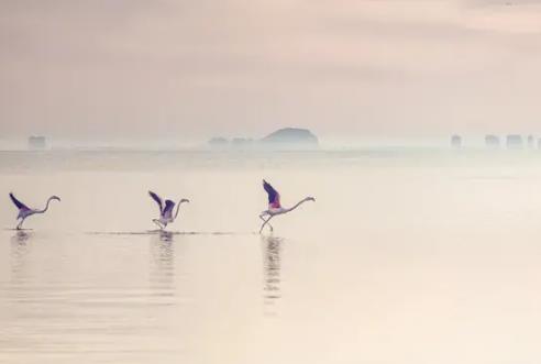 断联10到20天女生心理,受虐型人格的女生心理