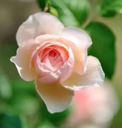 有一个精力旺盛的男朋友什么体验