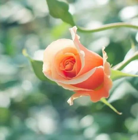 有一个精力旺盛的男朋友什么体验