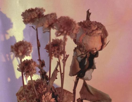 女人外遇的表现征兆,佛说男人外遇的后果