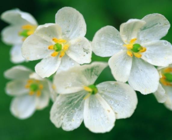 儿子与继母发生口角怎么缓和,继子与继母俩发生冲突矛盾怎么办