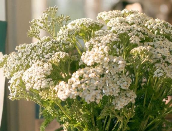 儿子与继母发生口角怎么缓和,继子与继母俩发生冲突矛盾怎么办