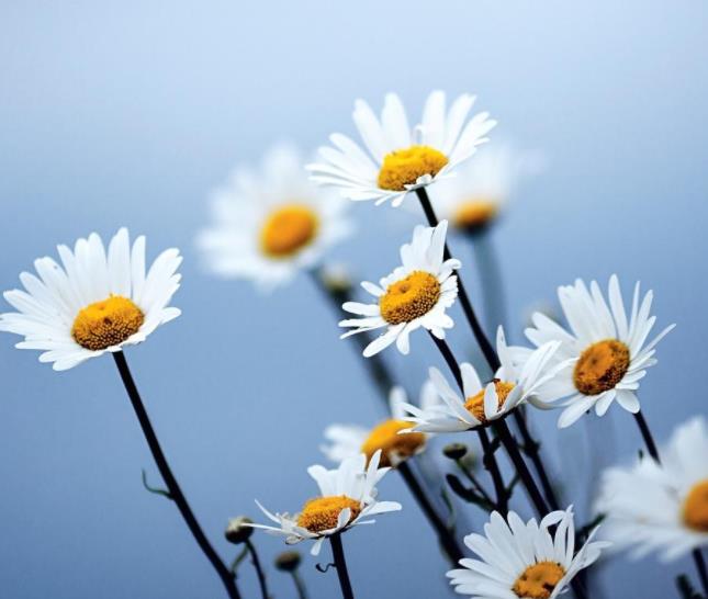 外人来家上厕所有讲究吗,夫妻的床为什么不能让外人睡