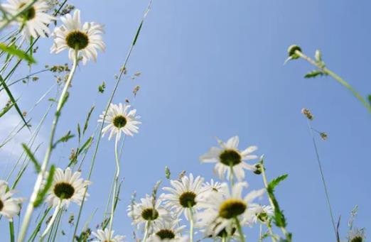 外人来家上厕所有讲究吗,夫妻的床为什么不能让外人睡