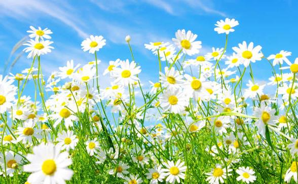 外人来家上厕所有讲究吗,夫妻的床为什么不能让外人睡