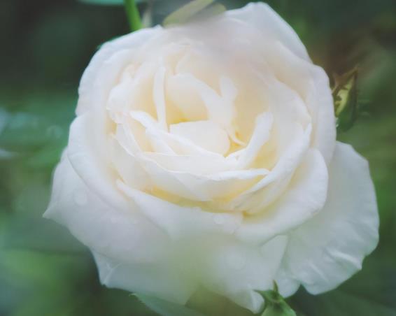 新婚之夜男人提离婚该怎么办