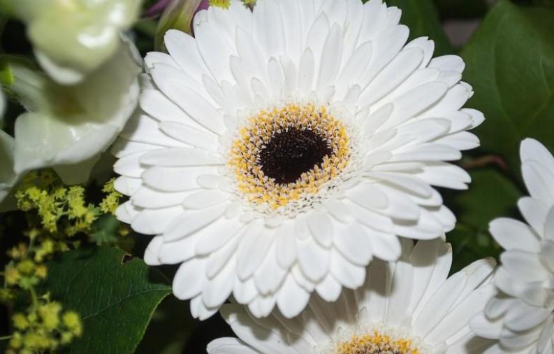 在同性朋友中射手男最在乎哪种人，射手男深爱哪种女人