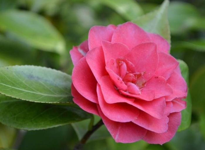 在同性朋友中射手男最在乎哪种人，射手男深爱哪种女人