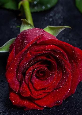 50岁自学10种技能，男人必会技能