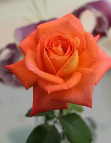 50岁自学10种技能，男人必会技能