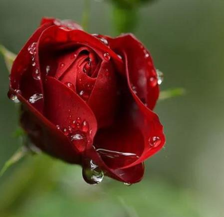 50岁自学10种技能，男人必会技能