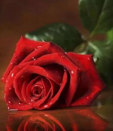 绿茶婊的6个典型特点,已婚绿茶婊的表现