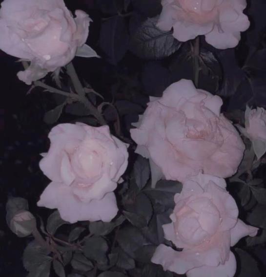 已婚异性拥抱叫出轨吗,已婚妇女被异性亲吻算背叛吗