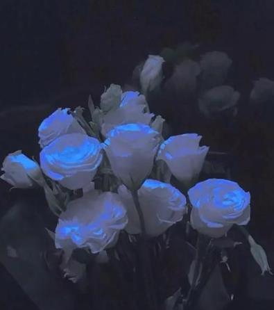 男女双方父母初次见面礼节,和儿媳第一次见面礼节