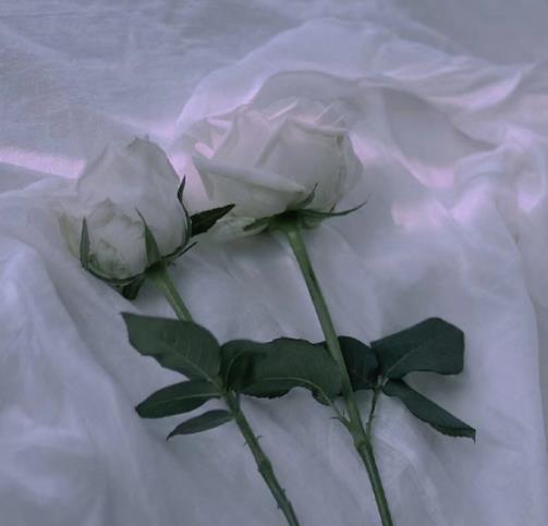 男女双方父母初次见面礼节,和儿媳第一次见面礼节