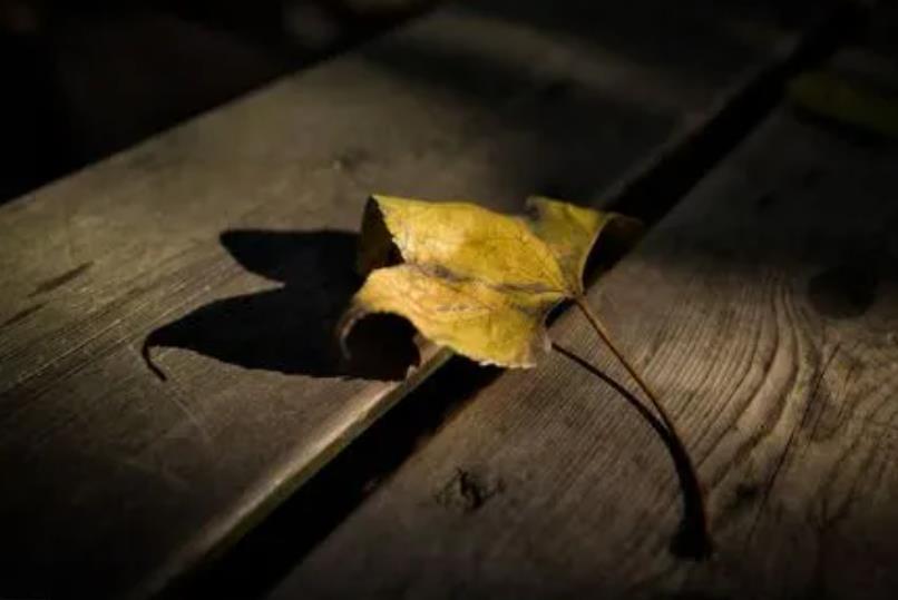 怎么面对婚后老公无耻行为,最无耻的父母有多可怕