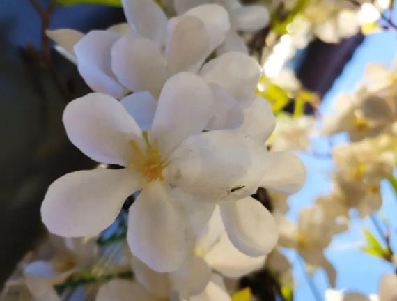 老祖宗留下的老话，十句老话养人