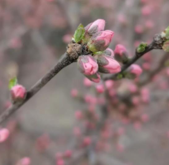 老祖宗留下的老话，十句老话养人