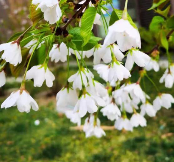 老祖宗留下的老话，十句老话养人