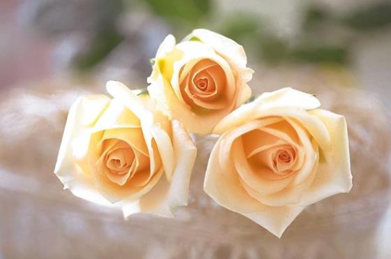 放不下小三的星座男，不介意找二婚女的星座男