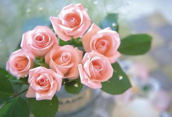 放不下小三的星座男，不介意找二婚女的星座男