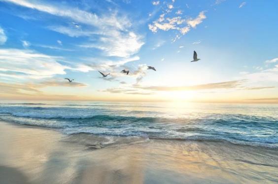 耐不住寂寞怎么办想和人聊天