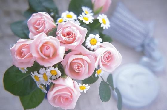 畸形关系引发的恶果怎么断，为什么说畸形的母爱毁了孩子一生