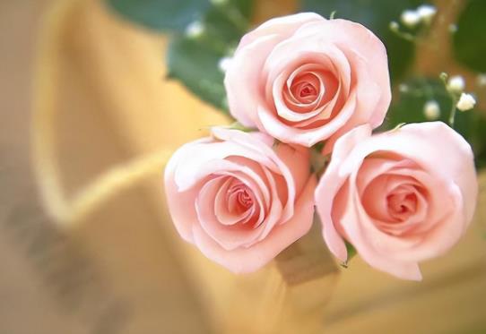 畸形关系引发的恶果怎么断，为什么说畸形的母爱毁了孩子一生