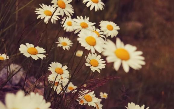 人过五十五岁正确的活法，退休最聪明活法