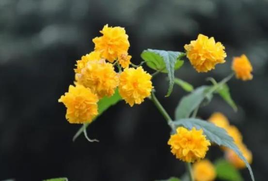 人过五十五岁正确的活法，退休最聪明活法