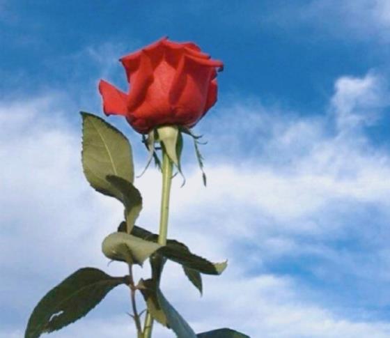 七十岁男人最需要什么,老人七十岁生日贺词