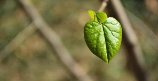 七十岁男人最需要什么,老人七十岁生日贺词