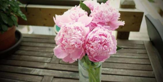 七十岁男人最需要什么,老人七十岁生日贺词