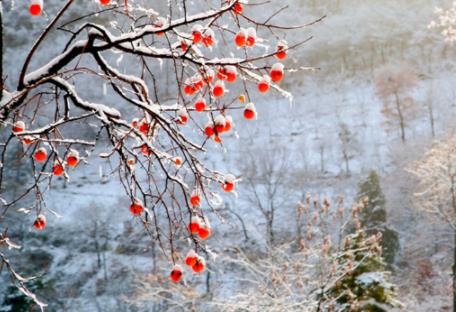 立冬当天禁忌,立冬前一天禁忌