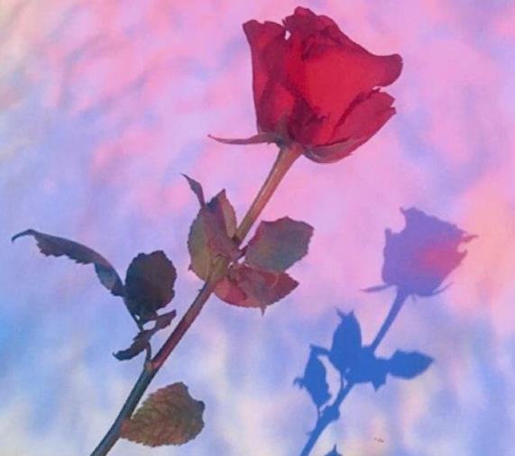 夫妻之间能摸对方手吗,夫妻之间必看的书