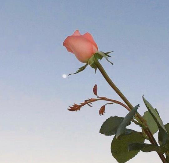 夫妻之间能摸对方手吗,夫妻之间必看的书