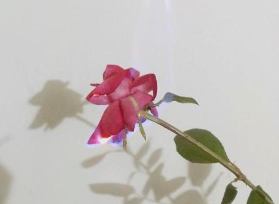 夫妻之间能摸对方手吗,夫妻之间必看的书