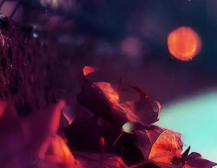 女人寂寞久了会去找不喜欢的人,寂寞出轨的人能原谅吗