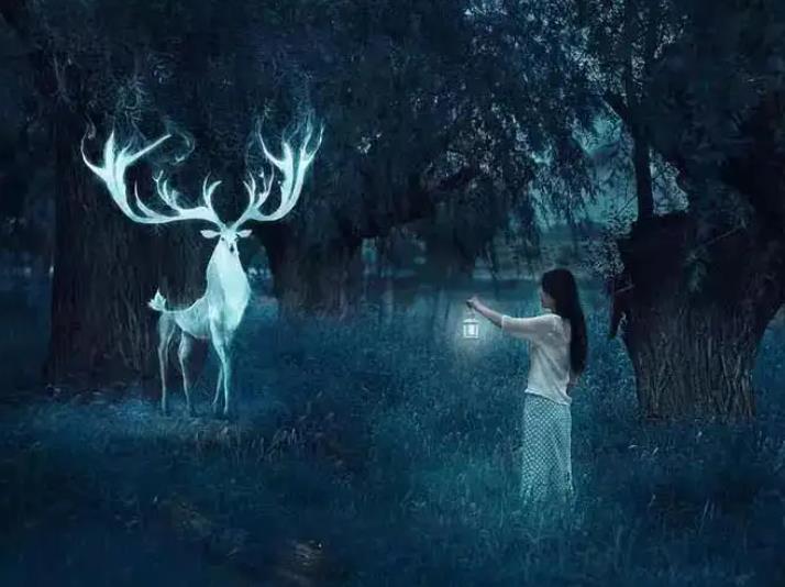 穿死人生前鞋好不好,长期梦到死人好不好